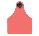 Allflex Global Large Blank Tag With Button - Tamperproof - USDA 840 Visual
