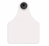 Allflex Global Large Blank Tag With Button - Tamperproof - Matched Set - 982 FDX