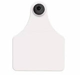 Allflex Global Large Numbered 1 Side Tag With Button - Tamperproof - Matched Set - USDA 840 FDX