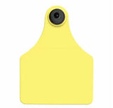 Allflex Global Large Blank Tag With Button - Tamperproof - USDA 840 Visual