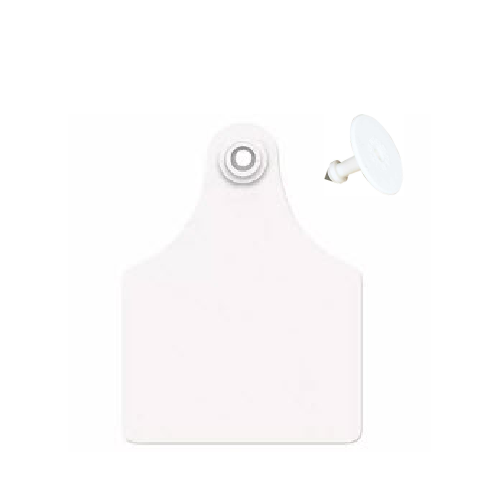 ALLFLEX Large Blank Calf/Deer Ear Tags with Blank Buttons (25/bag) White In Stock