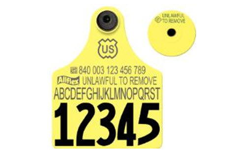 Allflex Global Maxi Custom 1 Side Tag With Button - Tamperproof - USDA 840 Visual