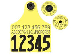Allflex Global Maxi Custom 1 Side Tag With Button - Tamperproof - Matched Set - FDX