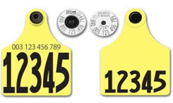 Allflex Global Maxi Numbered 2 Sides Tag With Button - Tamperproof - Matched Set - HDX