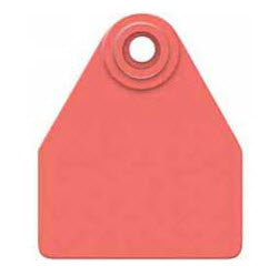 Allflex Global Medium Blank Tag - Male Tag Only