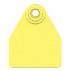 Allflex Global Medium Blank Tag - Female Tag Only
