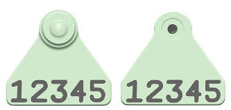 Allflex Global Sheep Mini Custom 1 Side Female Tag with Custom 1 Side Male Tag