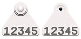 Allflex Global Sheep Mini Numbered 1 Side Female Tag with Blank Male Tag - Set