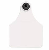 Allflex Global Maxi Custom 1 Side Tag With Button - Tamperproof - USDA 840 Visual