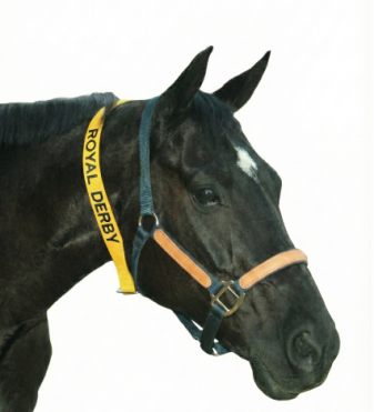 Ritchey Engraveable Numbered Equine Neck Strap - 1 1/2" x 48"