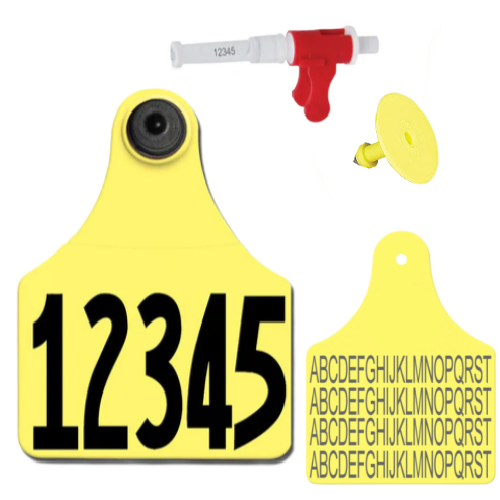 TSU Matched Set Custom Both Sides Ear Tag: Allflex Maxi visual tag with ...
