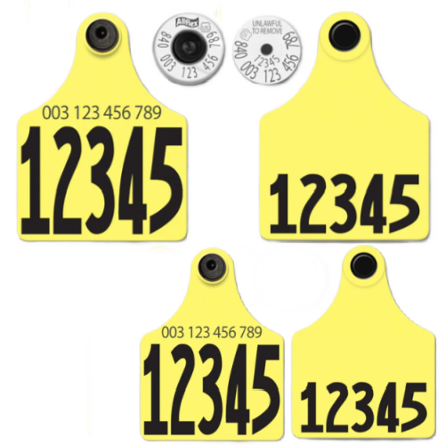 Allflex - Dairy Double - 2 Global Maxi Numbered 2 Side Tags with Buttons - Tamperproof - Matched Set - HDX
