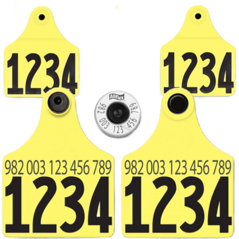 RFID HDX Matched Set Numbered Both Sides Ear Tag: Allflex Maxi visual ...
