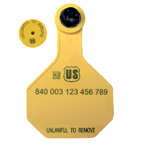 Official USDA 840 Ear Tag: Y-Tex Medium USDA blank visual tag for ...