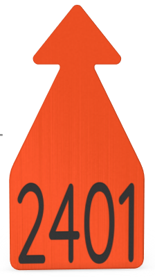 Ritchey Flat Arrowhead Large Numbered 1 Side Tag