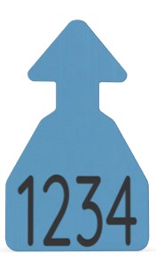 Ritchey Flat Arrowhead Medium Blank Tag