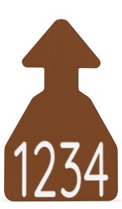Ritchey Flat Arrowhead Medium Blank Tag