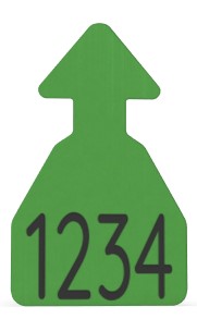 Ritchey Flat Arrowhead Medium Blank Tag