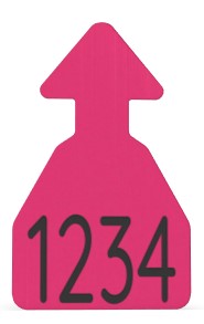 Ritchey Flat Arrowhead Medium Blank Tag