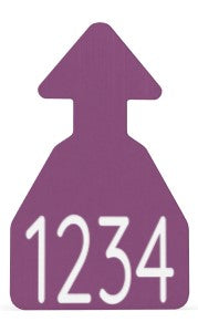Ritchey Flat Arrowhead Medium Blank Tag
