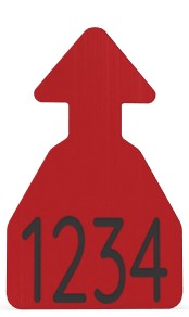 Ritchey Flat Arrowhead Medium Blank Tag