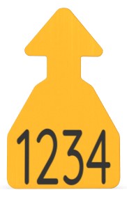 Ritchey Flat Arrowhead Medium Blank Tag