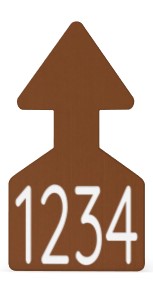Ritchey Flat Arrowhead Small Numbered 1 Side Tag