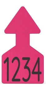 Ritchey Flat Arrowhead Small Blank Tag