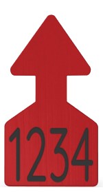 Ritchey Flat Arrowhead Small Numbered 1 Side Tag