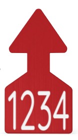 Ritchey Flat Arrowhead Small Numbered 1 Side Tag