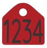 Ritchey Bag of Neck Chain Blank Tags (25/bag)