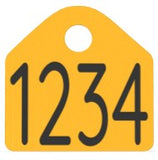 Ritchey Bag of Neck Chain Blank Tags (25/bag)