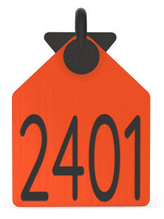 Ritchey Curved Arrowhead Large Numbered 1 Side Tag