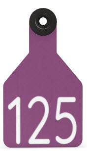 Ritchey Bag of Universal Medium Blank Tags With Black Buttons (25/bag)