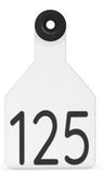 Ritchey Universal Medium Custom 1 Side Tag - Female Tag Only