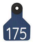 Ritchey Universal Small Numbered 1 Side Tag - Female Tag Only
