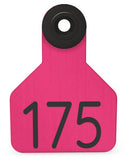 Ritchey Universal Small Numbered 1 Side Tag - Female Tag Only