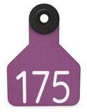 Ritchey Universal Small Numbered 1 Side Tag - Female Tag Only