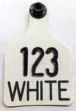 Ritchey Universal Large Numbered 1 Side Tag - Female Tag Only