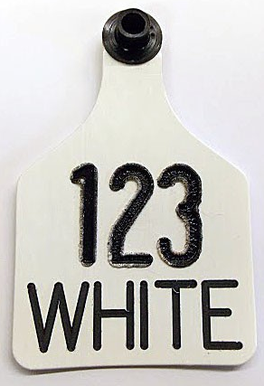 Number 25 White Black Button