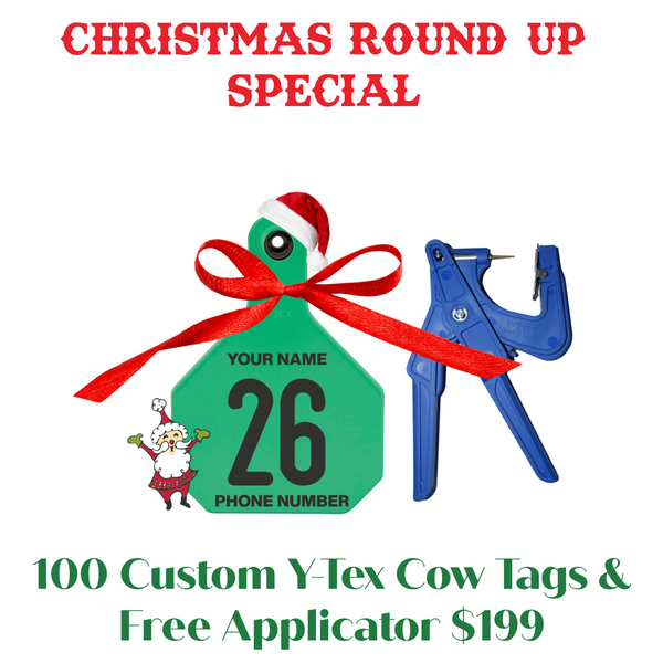 Y-Tex AA Large 4* Custom 1 Side Tag With Button - 100 tags with Free Applicator