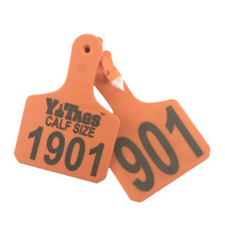 Y-Tex Y-Tag Calf Custom 2 Sides Tag