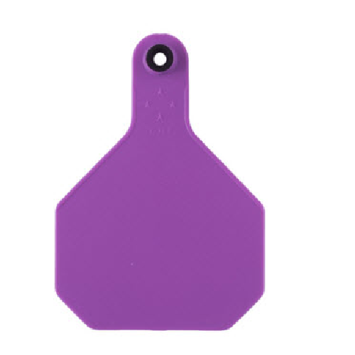 Y-TEX Large Save the Date Tag Announcement