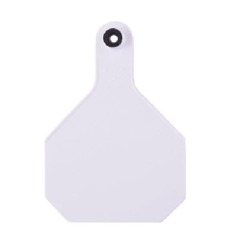 Y-TEX Large Save the Date Tag Announcement