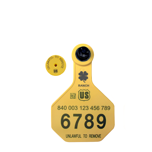 Y-Tex AA Medium 3* Custom 2 Sides Tag With Button - Tamperproof - USDA 840 Visual
