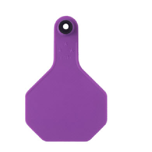 Y-Tex AA Medium 3* Male Numbered 2 Sides Tag With Round