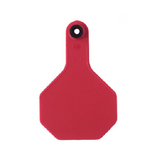 Y-Tex AA Medium 3* Male Numbered 1 Side Tag With Round