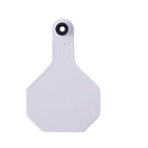 Y-Tex AA Medium 3* Male Numbered 2 Sides Tag With Round