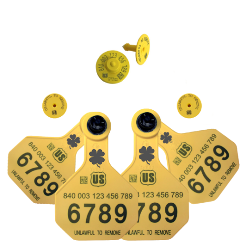 Y-Tex - Dairy Double - 2 AA Medium 3* Custom 2 Sides Tags With Buttons - Tamperproof - Matched Set - FDX