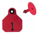 Y-Tex AA Mini 1* Numbered 1 Side Tag With Button
